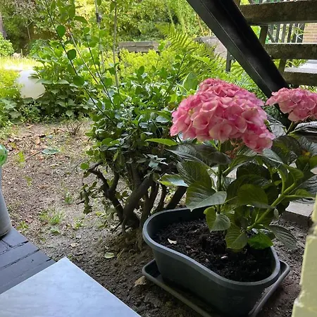 Apartment Ruhige, Warme Am Schlosspark Borbeck Gute Anbindung Ins Zentrum Wlan Parkplatz *