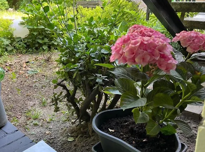 Appartamento & Aparts Am Schloss Park *